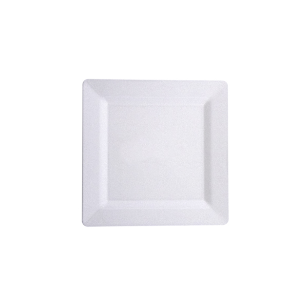 PL.S22 Kare Plastik Tabak 22 cm PS